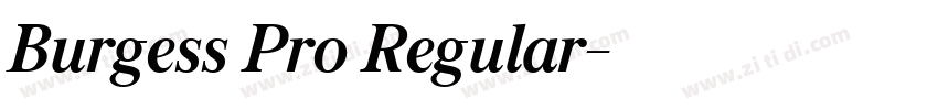 Burgess Pro Regular字体转换 Burgess Pro Regular字体转换
